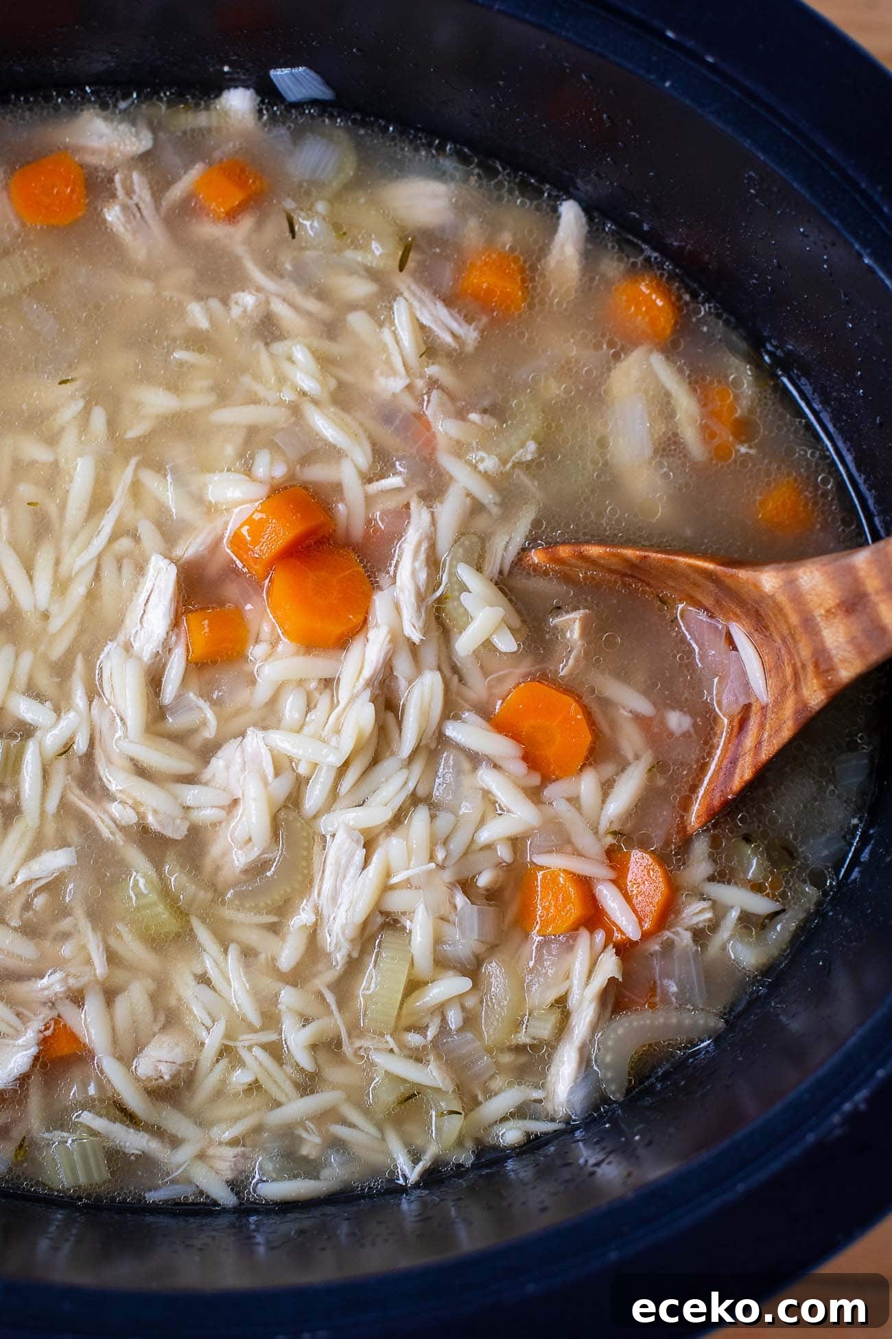 overhead photo of soup in a slow cooker