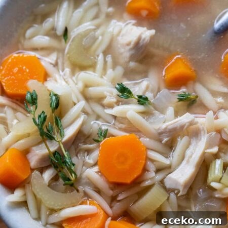 crock pot chicken orzo soup