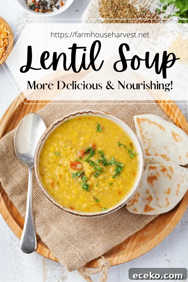 Comforting Lentil Soup Recipe for Weeknight Meals 2 lentil soup in bowl with spoon