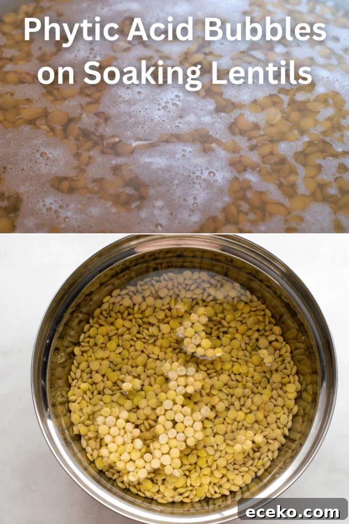 Comforting Lentil Soup Recipe for Weeknight Meals 3 phytic acid bubbles on soaking lentils