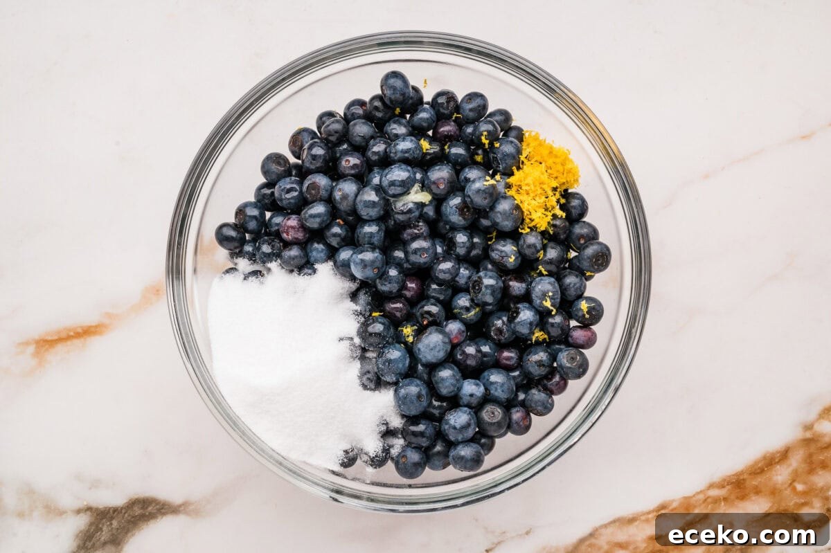 Blueberries mixed with sugar and lemon