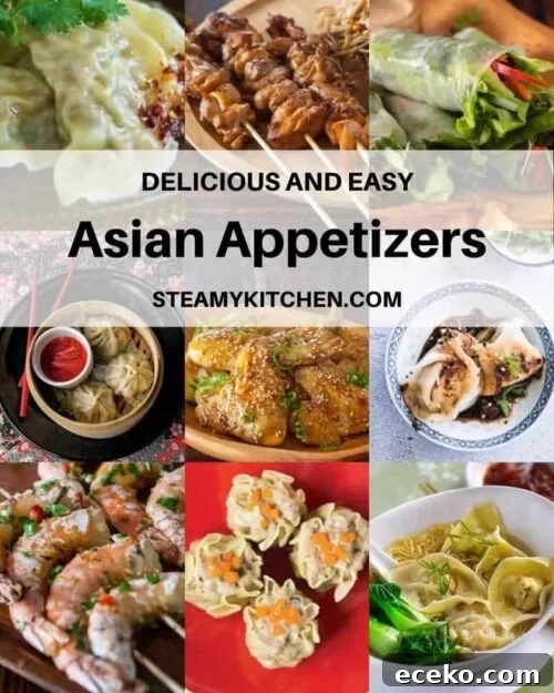 Top Asian Appetizers: 25 Crowd-Pleasing Recipes to Try 2 Collage of Asian appetizer recipes