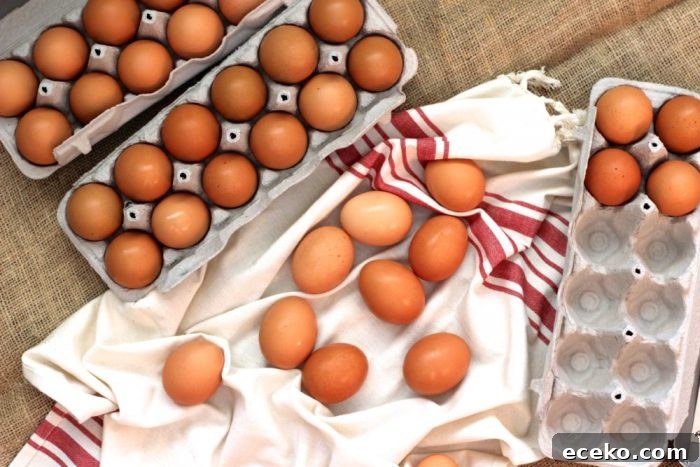 Understanding Egg Labels: What They Mean and How to Choose 2 egg labels