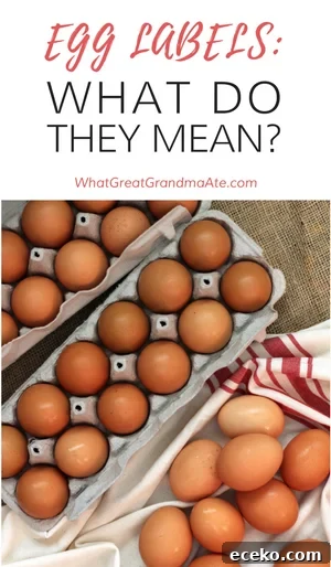 Understanding Egg Labels: What They Mean and How to Choose 3 Egg Labels: What Do? They Mean