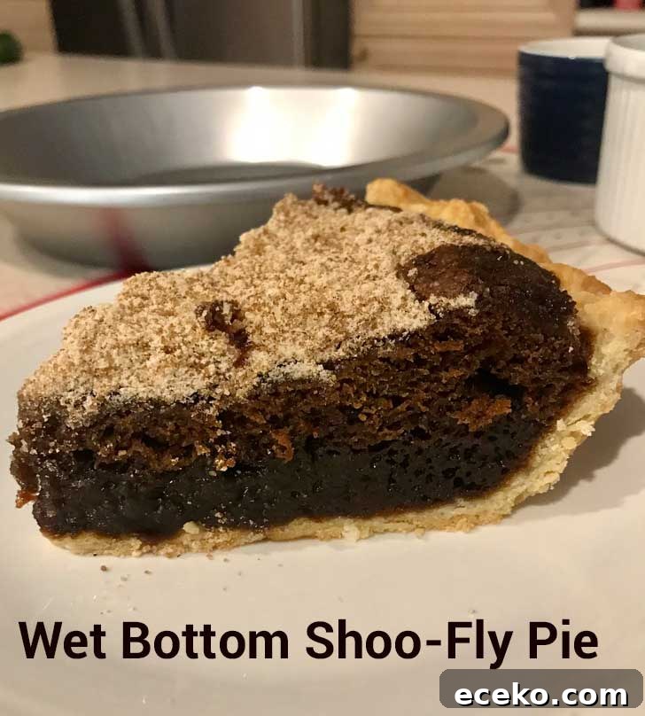 Wet Bottom Shoo-Fly Pie
