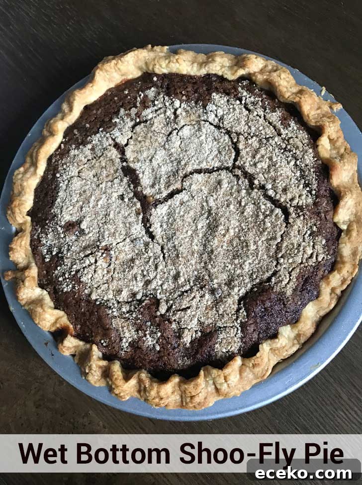 Shoo-Fly Pie