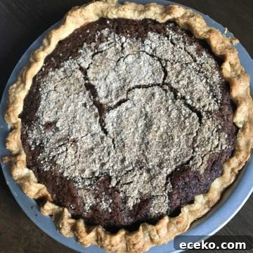 Shoo-Fly-Pie