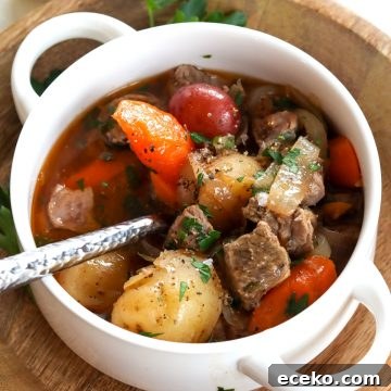 Slow Cooker Irish Lamb Stew Recipe 9 irish stew served in a white bowl and garnished with parsley.