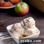 A serving of no churn cider donut ice cream in a small bowl.