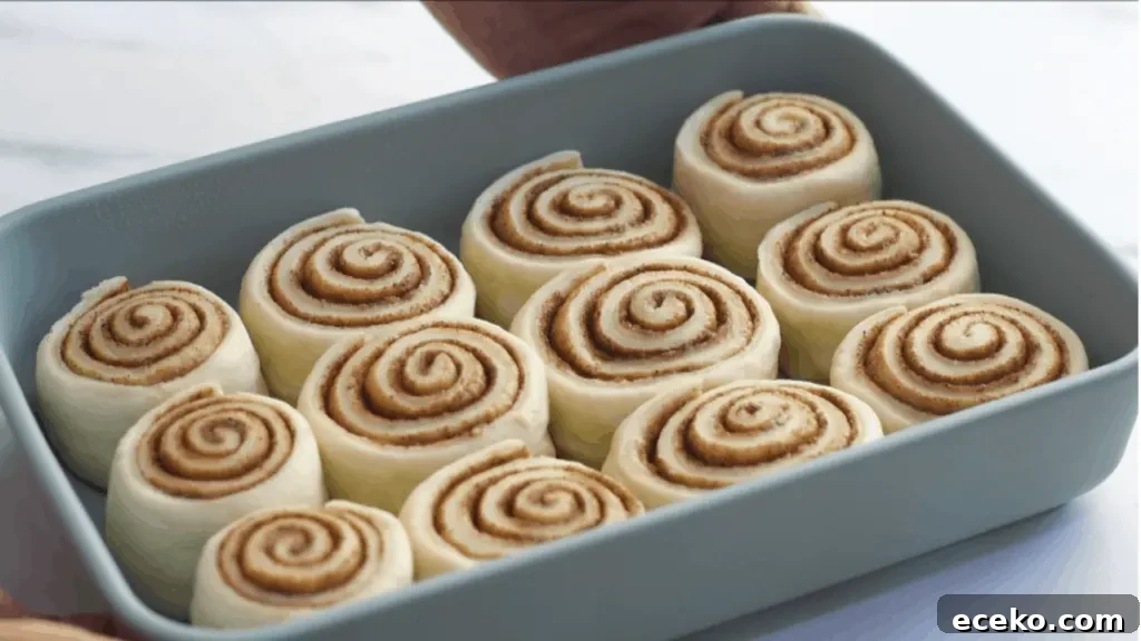 Overnight Cinnamon Rolls Recipe: Make-Ahead, Soft & Gooey 6 Make ahead cinnamon rolls recipe