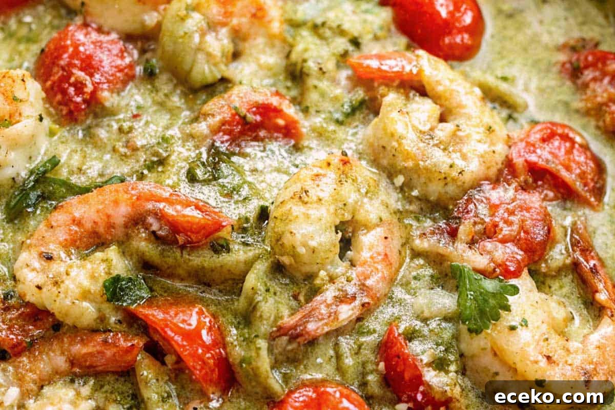 Sprinkled in the chopped parsley with the parmesan over the creamy shrimp and tomatoes.