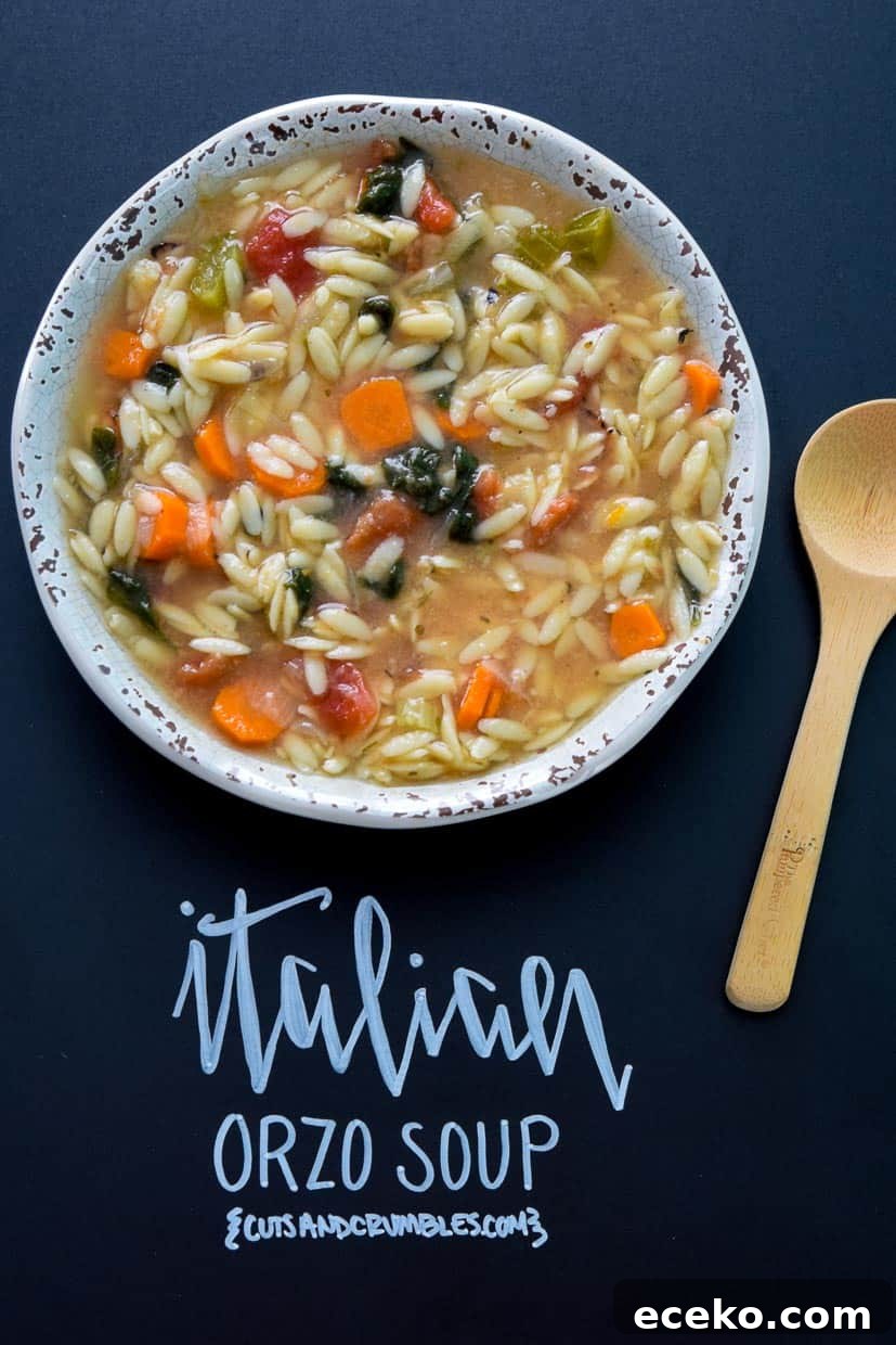 Italian Orzo Soup in rustic bowl with wooden spoon and title written on chalkboard