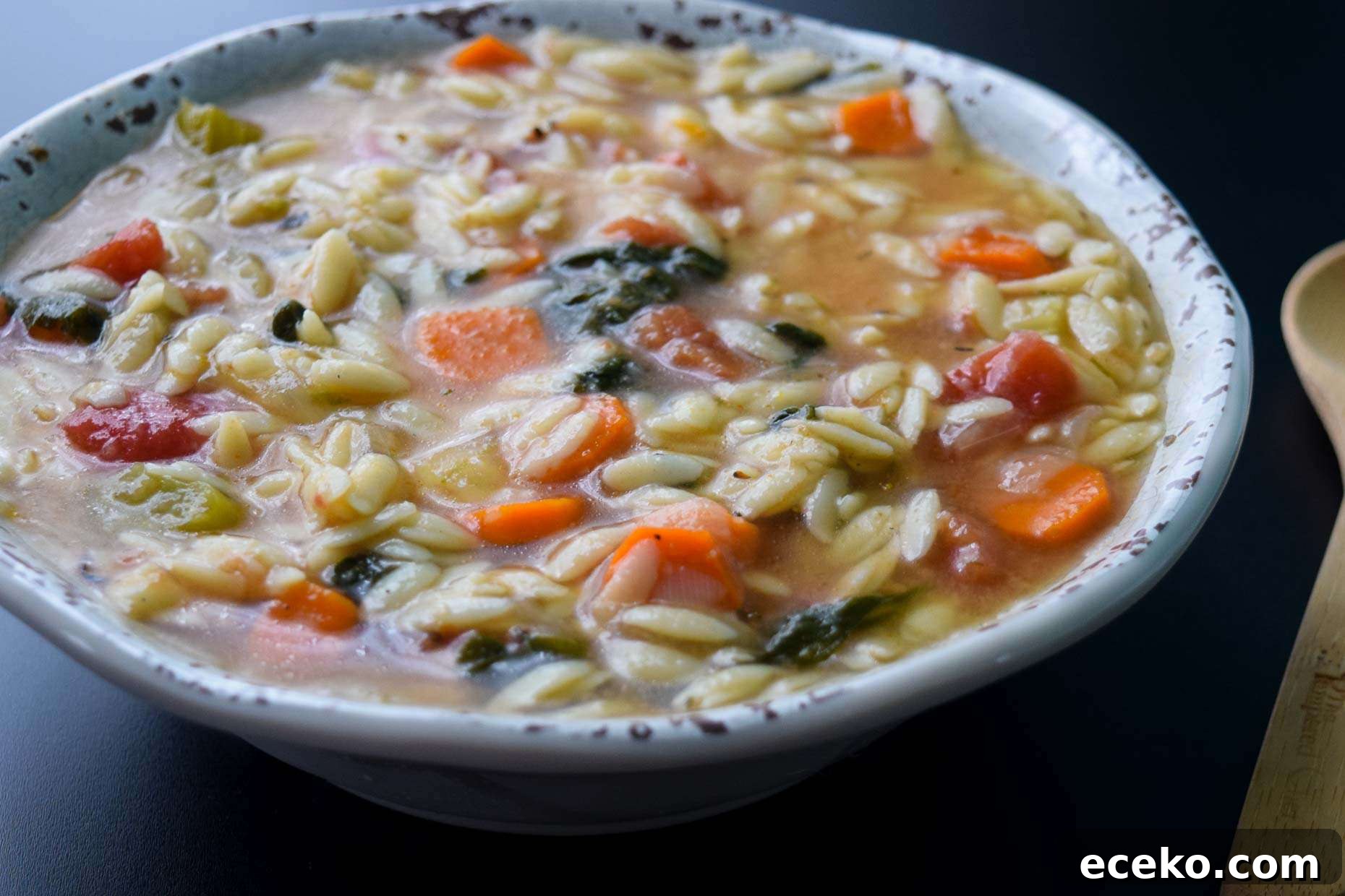 Italian Orzo Soup I rustic bowl close up view