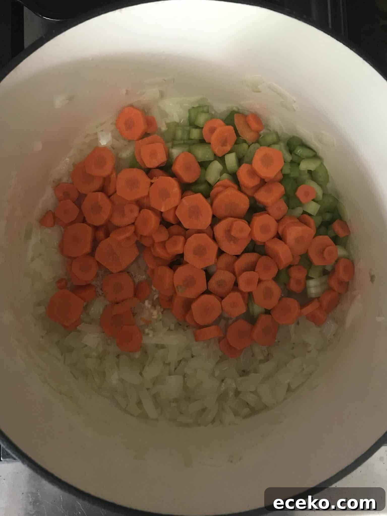 Carrots and celery added to pot overhead shot