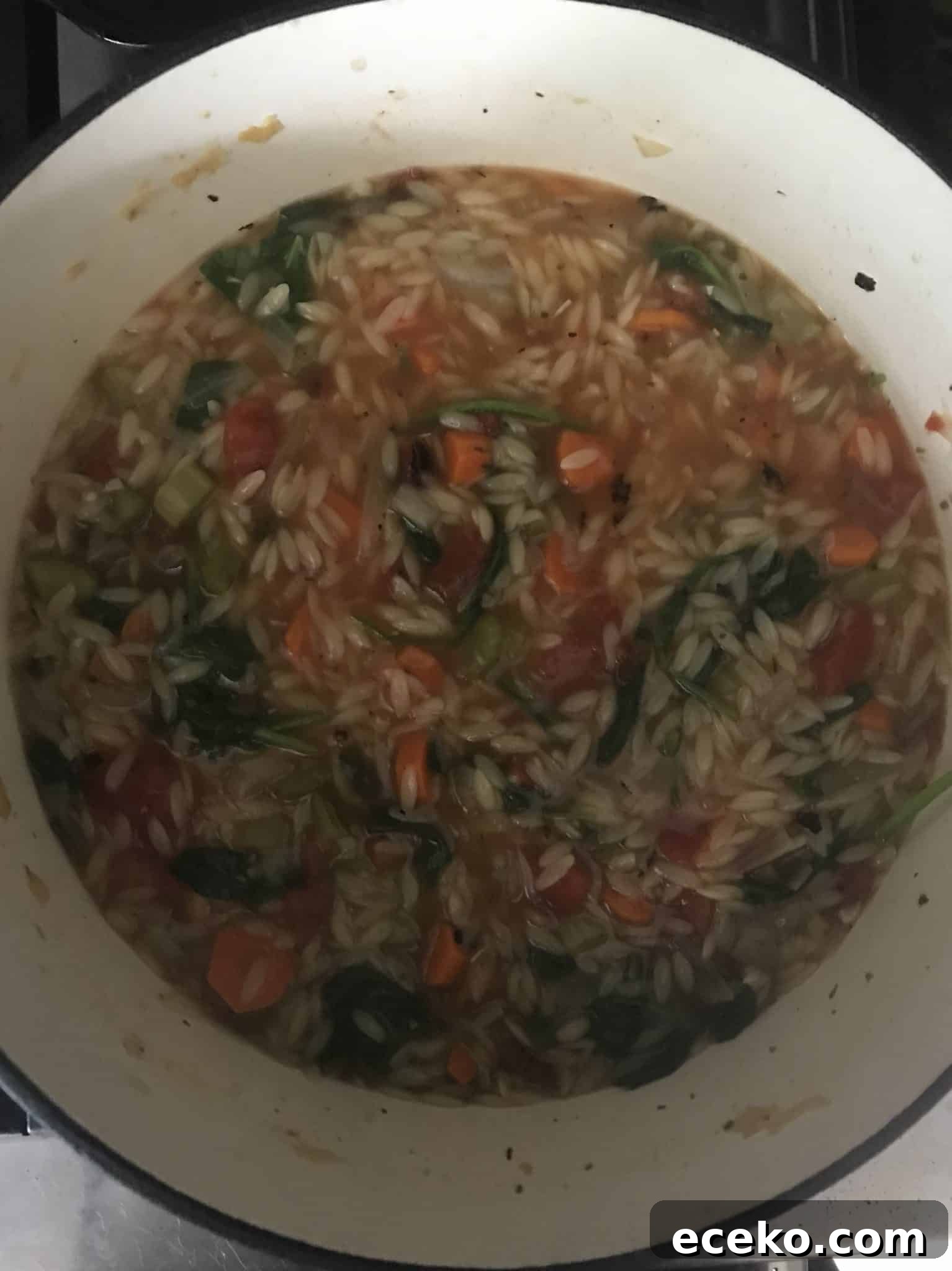 Orzo added to soup pot overhead shot