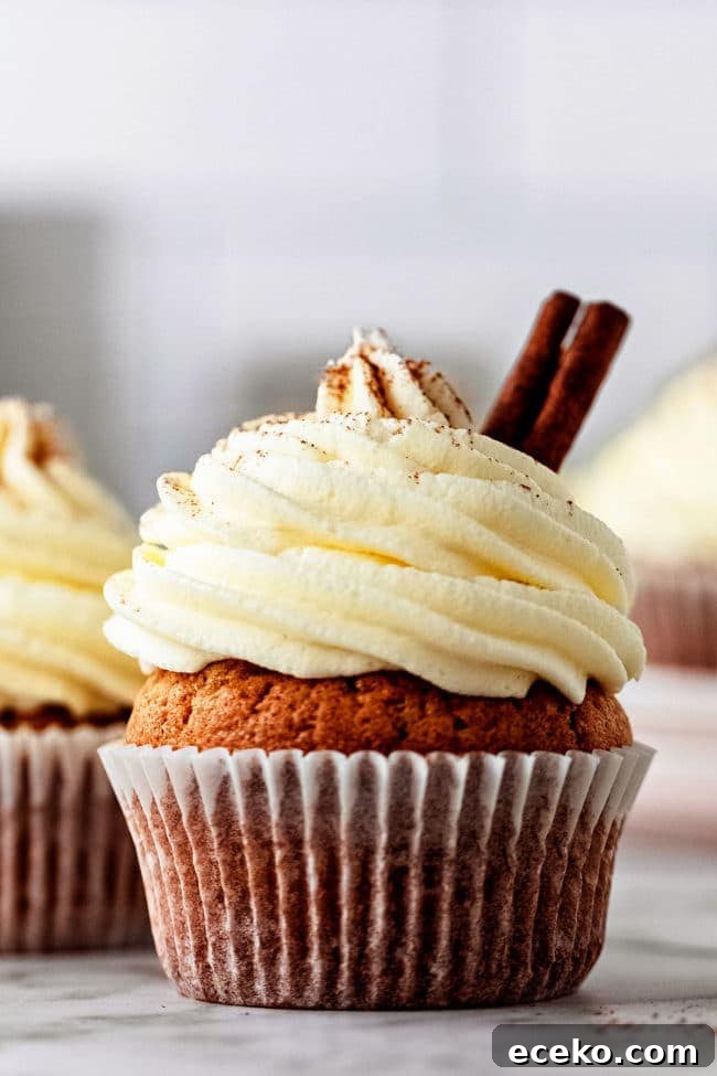 cupcake with beautifully piped buttercream
