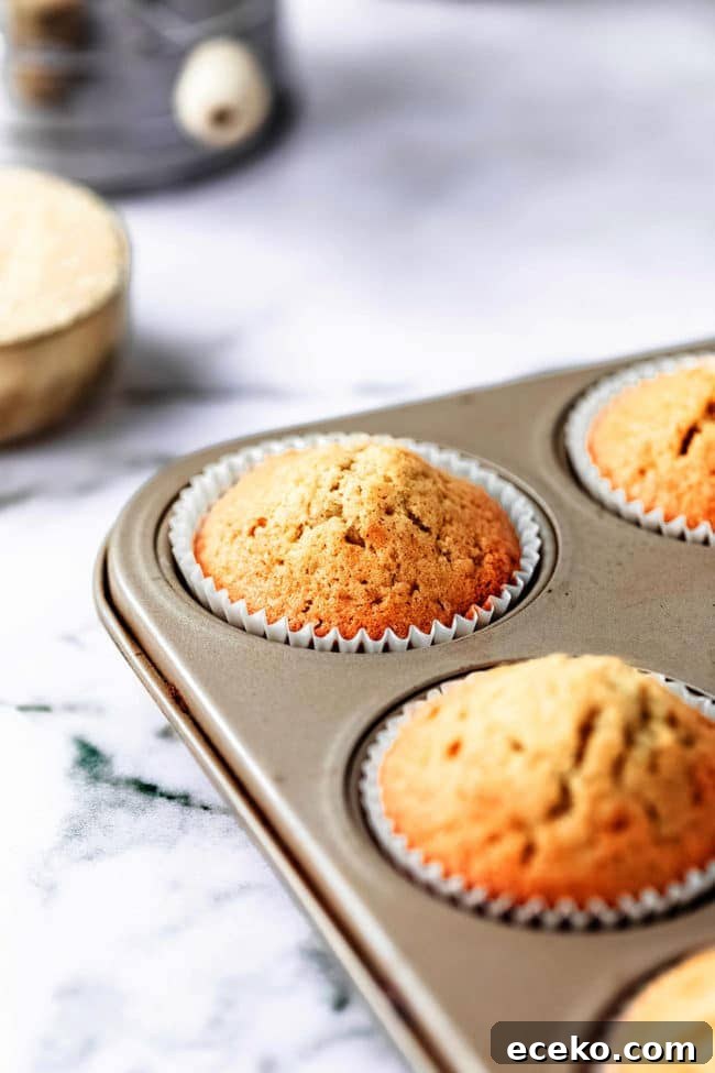 baked cupcakes in pan