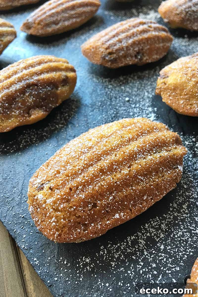 Vertical image of a shell-shaped spongecake on a slate.