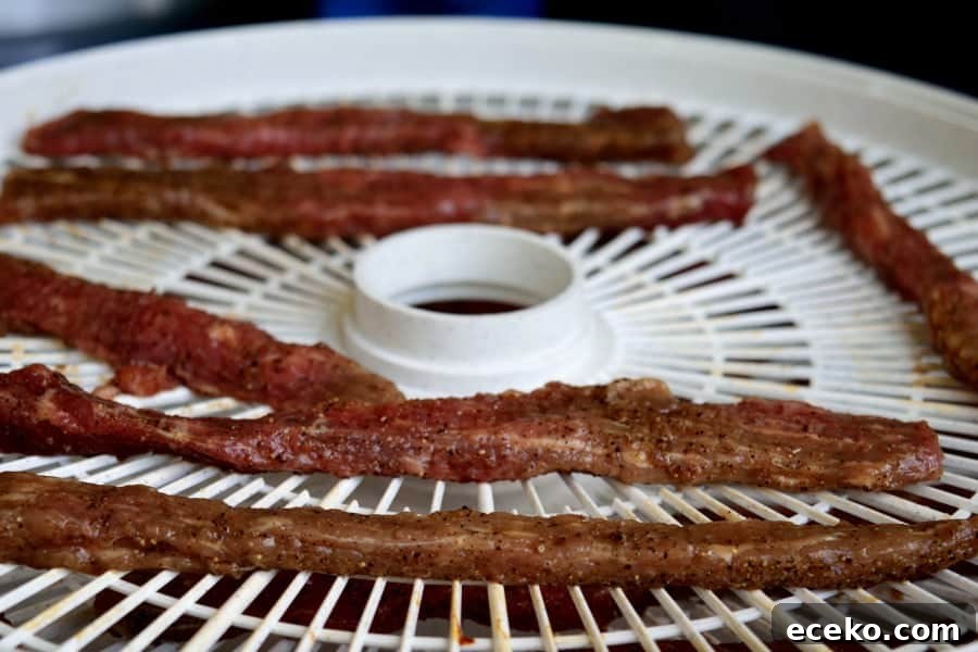 Original Jerky on dehydrator tray