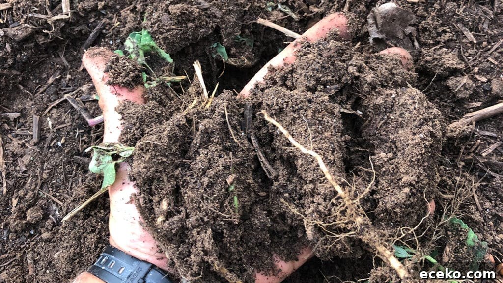 How to Practice Regenerative Gardening at Home 4 Regenerative Gardening