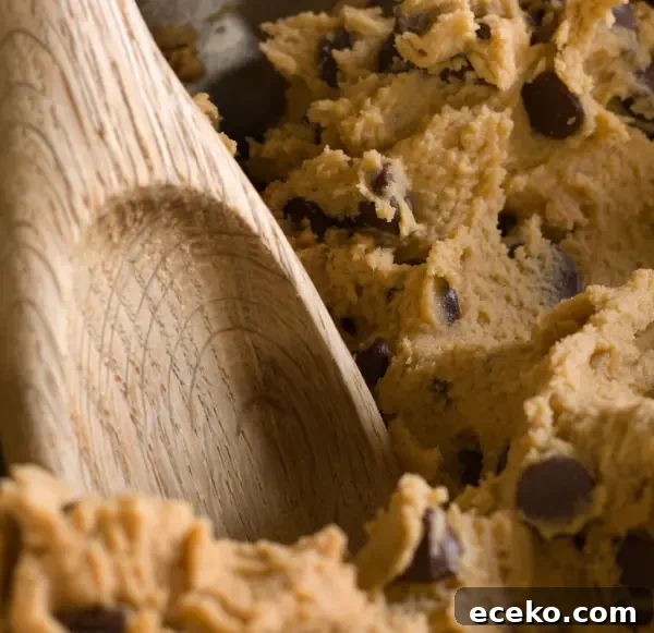 jacques torres chocolate chip cookie recipe