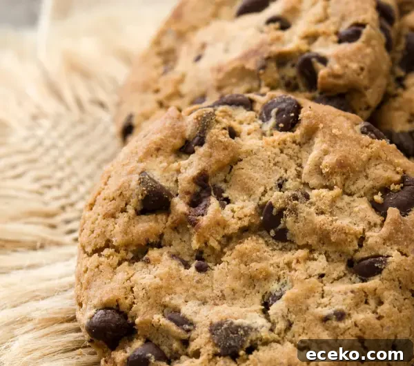 Jacques Torres Chocolate Chip Cookies