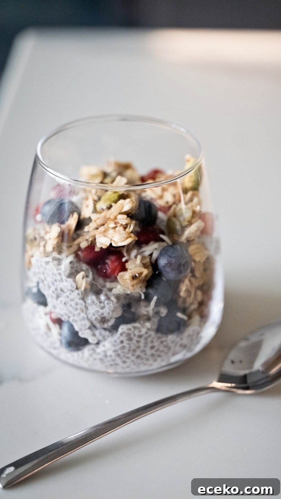 Vanilla chia pudding