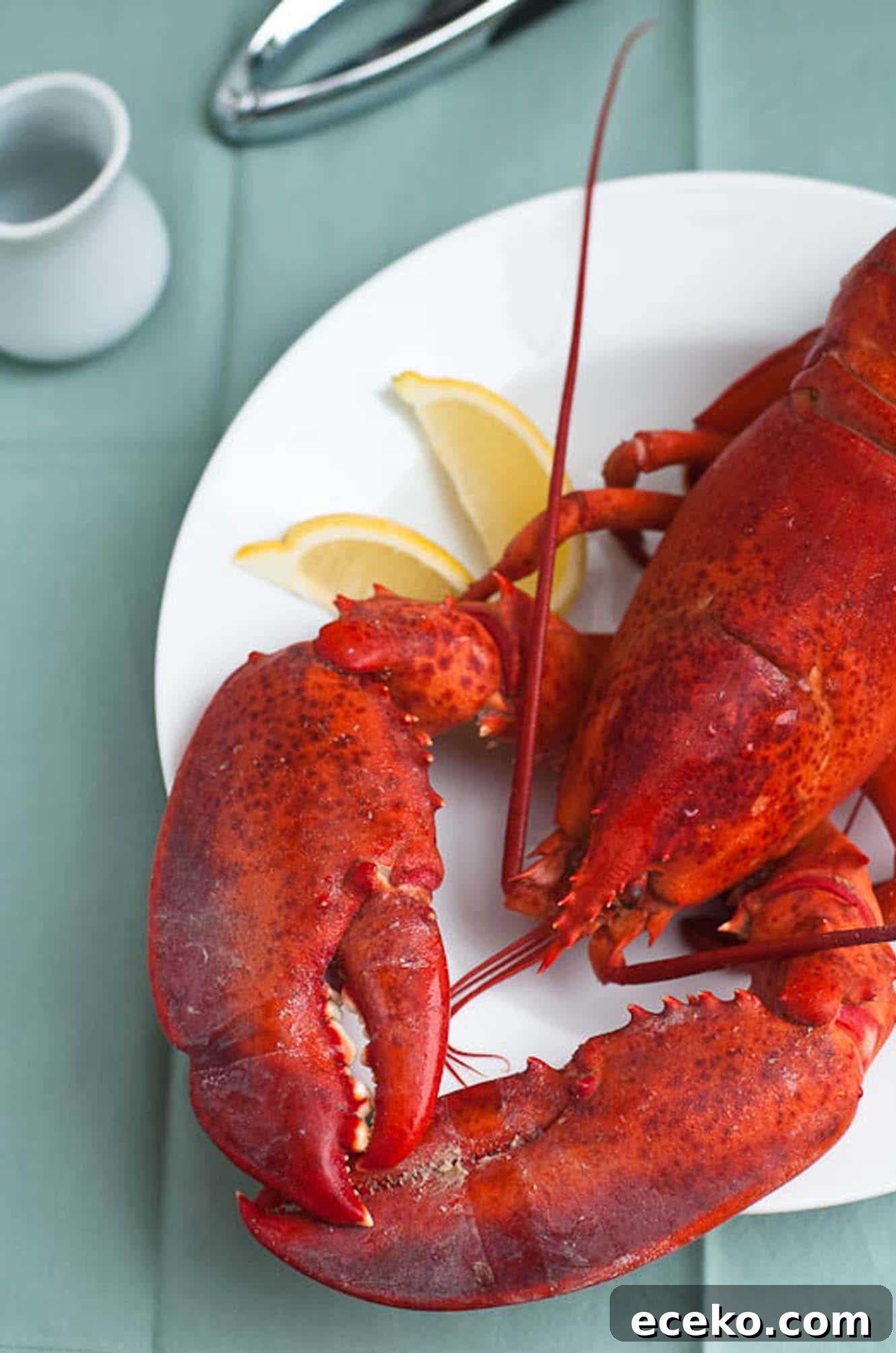 a whole lobster on a plate with lemon wedges, melted butter, and a lobster cracker
