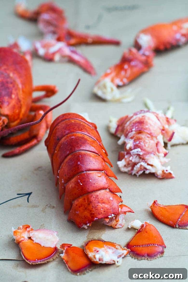cooking live lobster and how to eat a whole lobster — tail parts and meat separated