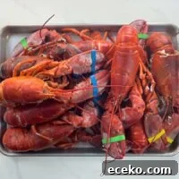 eight cooked lobsters on a sheet pan with colorful rubber bands on their claws
