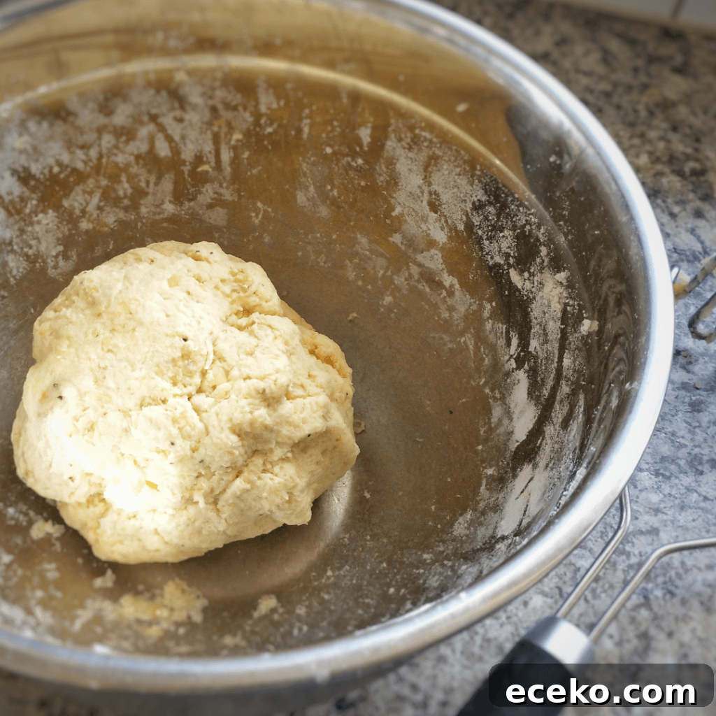 Bowl of easy gnocchi dough