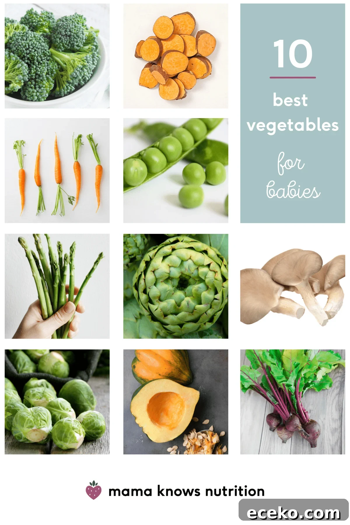Top Vegetables for Babies 6–12 Months: 10 Nutritious Picks 3 variety of veggies for babies