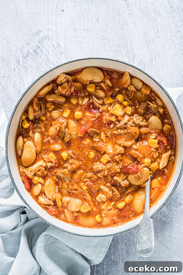 top down view of the completed brunswick stew served in a bowl with a spoon and cloth napkin