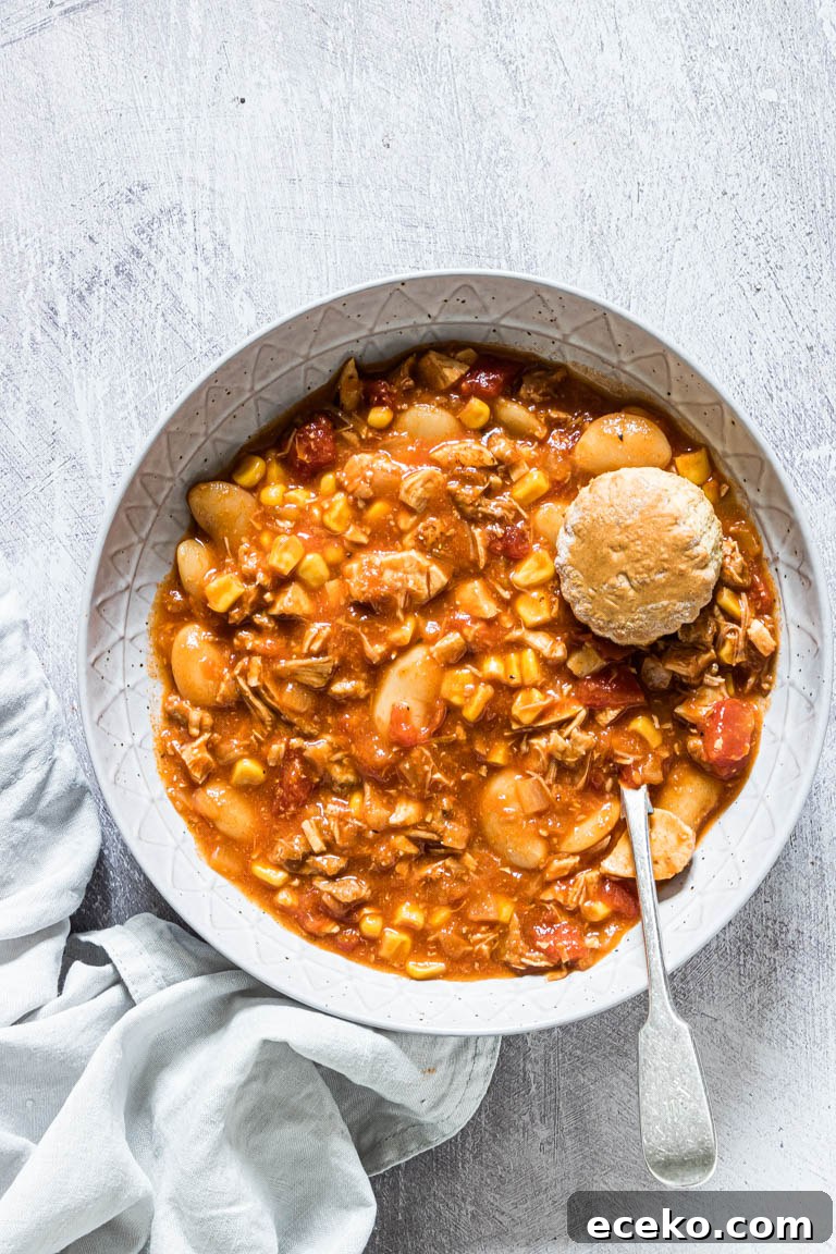 a bowl filled with brunswick stew and ready to be served