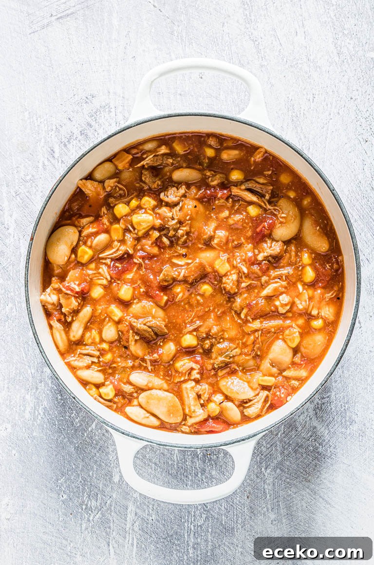 top down view of brunswick stew inside a dutch oven
