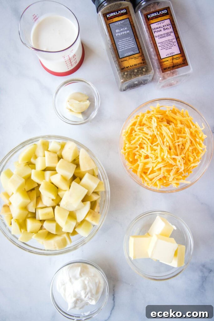cheesy mashed potato ingredients