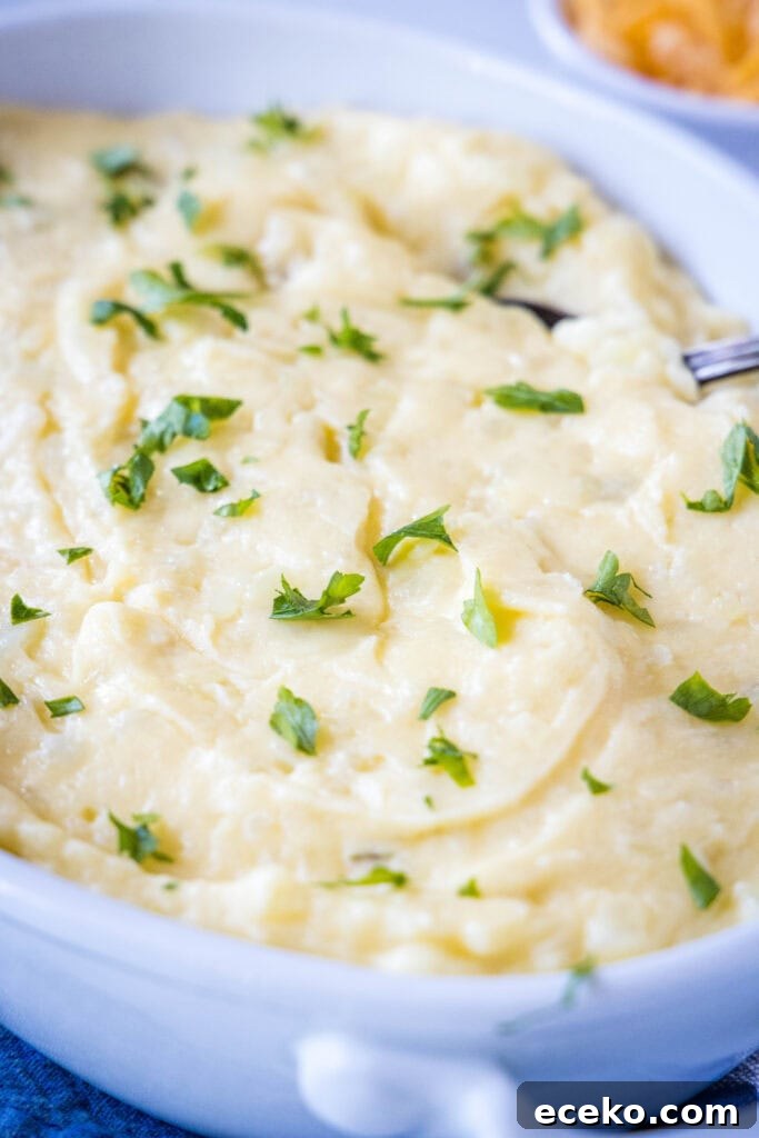 a baking dish with cheddar mashed potatoes