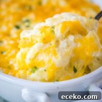 close up of spoonful of cheesy mashed potatoes
