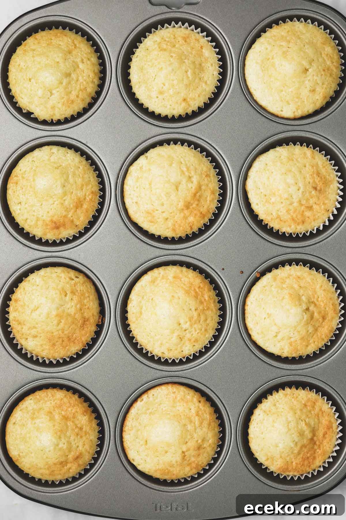 vanilla cupcakes baked in a muffin pan