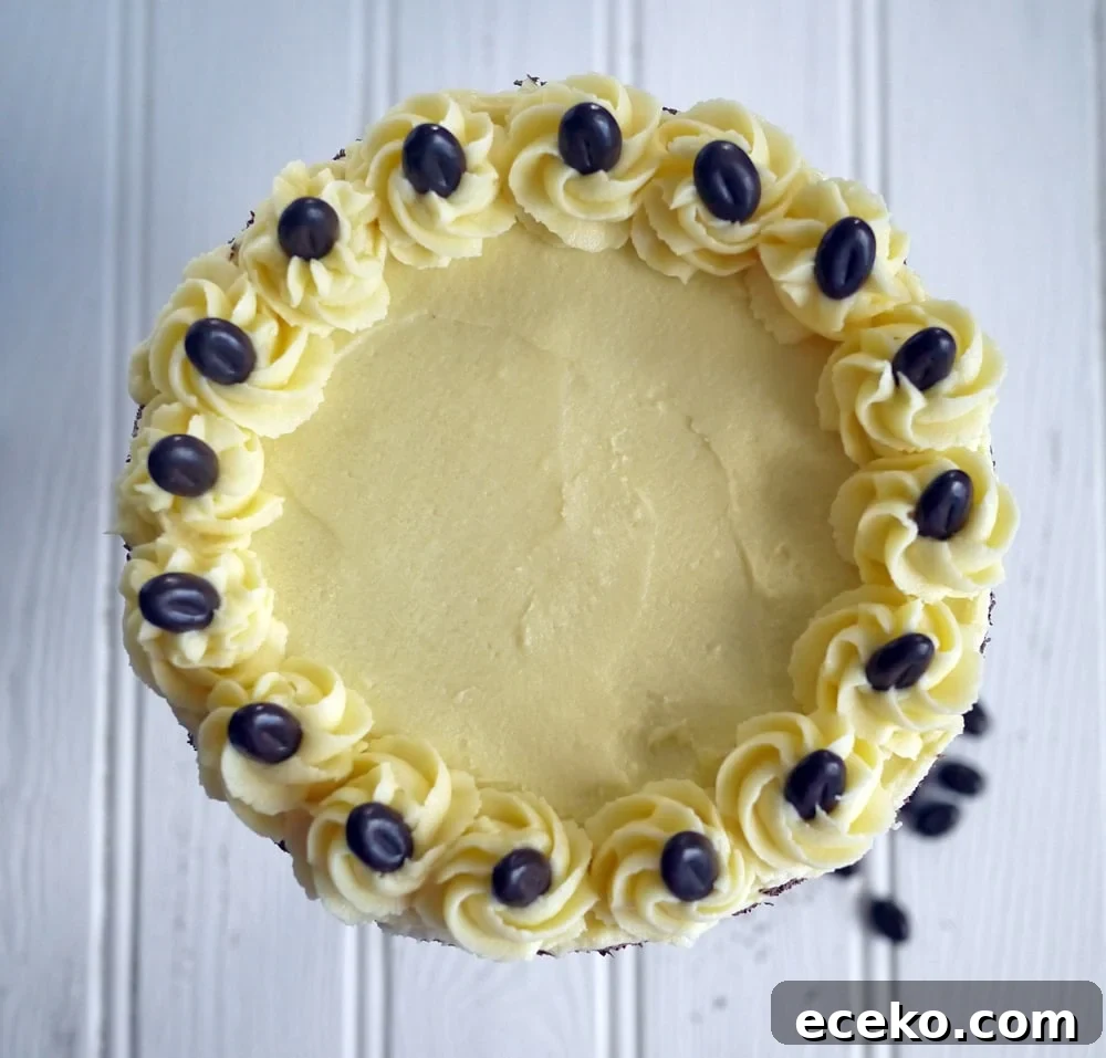 A bird's eye view of a Tiramisu Cake On a white background, with chocolate coffee beans on top.