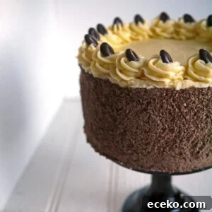 A Tiramisu Cake on a cake stand, with chocolate icing and a buttercream frosting on top, decorated with chocolate coffee beans.