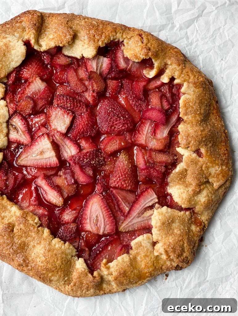 whole strawberry rhubarb galette close-up