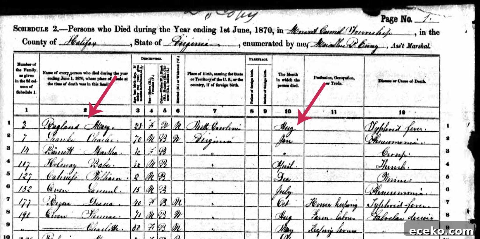 7 Places to Find an Ancestor’s Death Date Quickly 2 1870 Mortality schedule for Halifax County, VA . Red arrows pointing to entry for Mary Ragland.