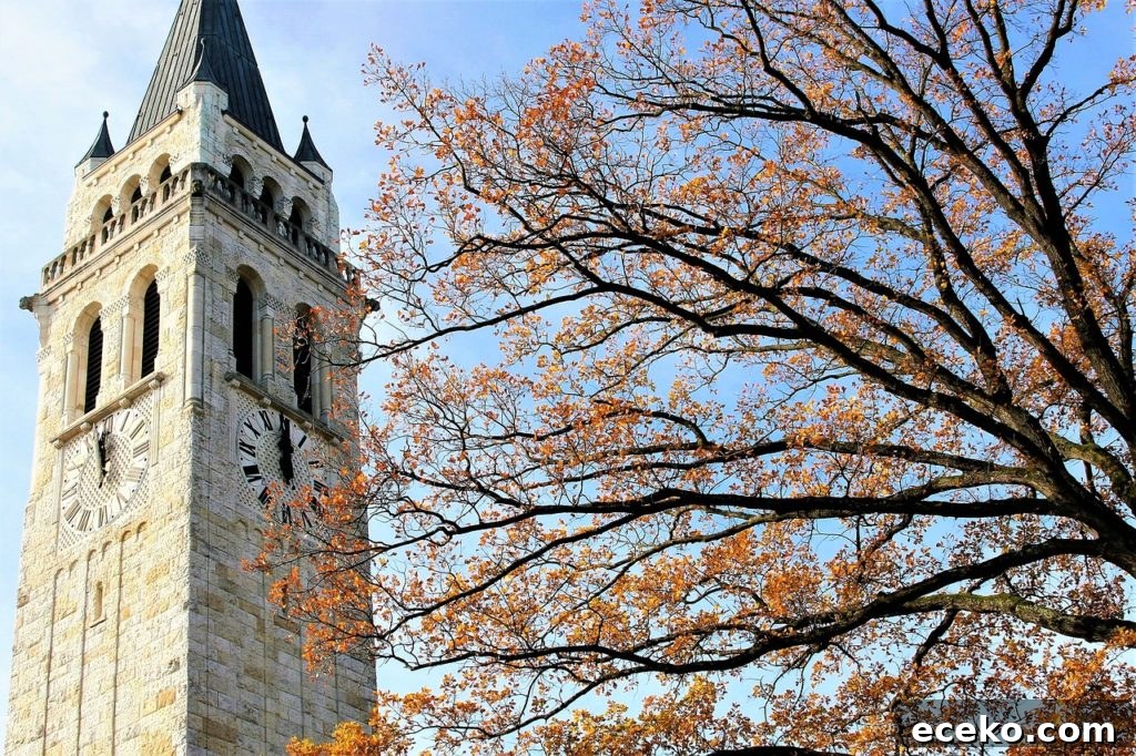 7 Places to Find an Ancestor’s Death Date Quickly 5 Orange leaves on tree with bell tower in the background. Blue sky