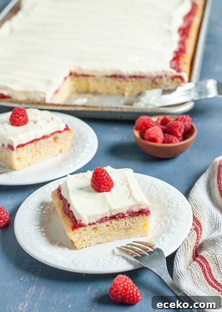 gluten-free-dairy-free-raspberry-vanilla-sheet-cake
