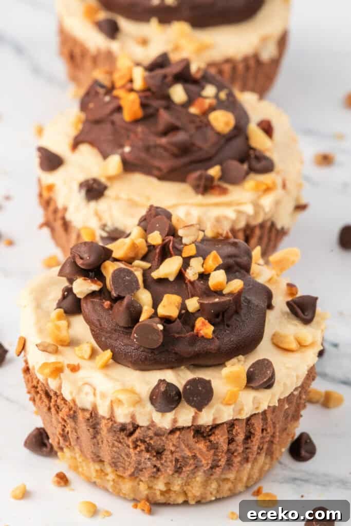 Mini No-Bake Chocolate Peanut Butter Cheesecakes 2 Three mini cheesecakes topped with chocolate ganache, mini chocolate chips, and chopped peanuts arranged in a row.