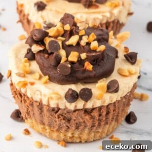 Mini No-Bake Chocolate Peanut Butter Cheesecakes 11 Overhead view of mini cheesecakes on a white plate, decorated with chocolate ganache, mini chocolate chips, and chopped peanuts.