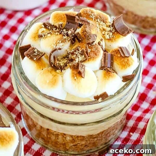 Mini No-Bake Chocolate Peanut Butter Cheesecakes 9 img 73361 8