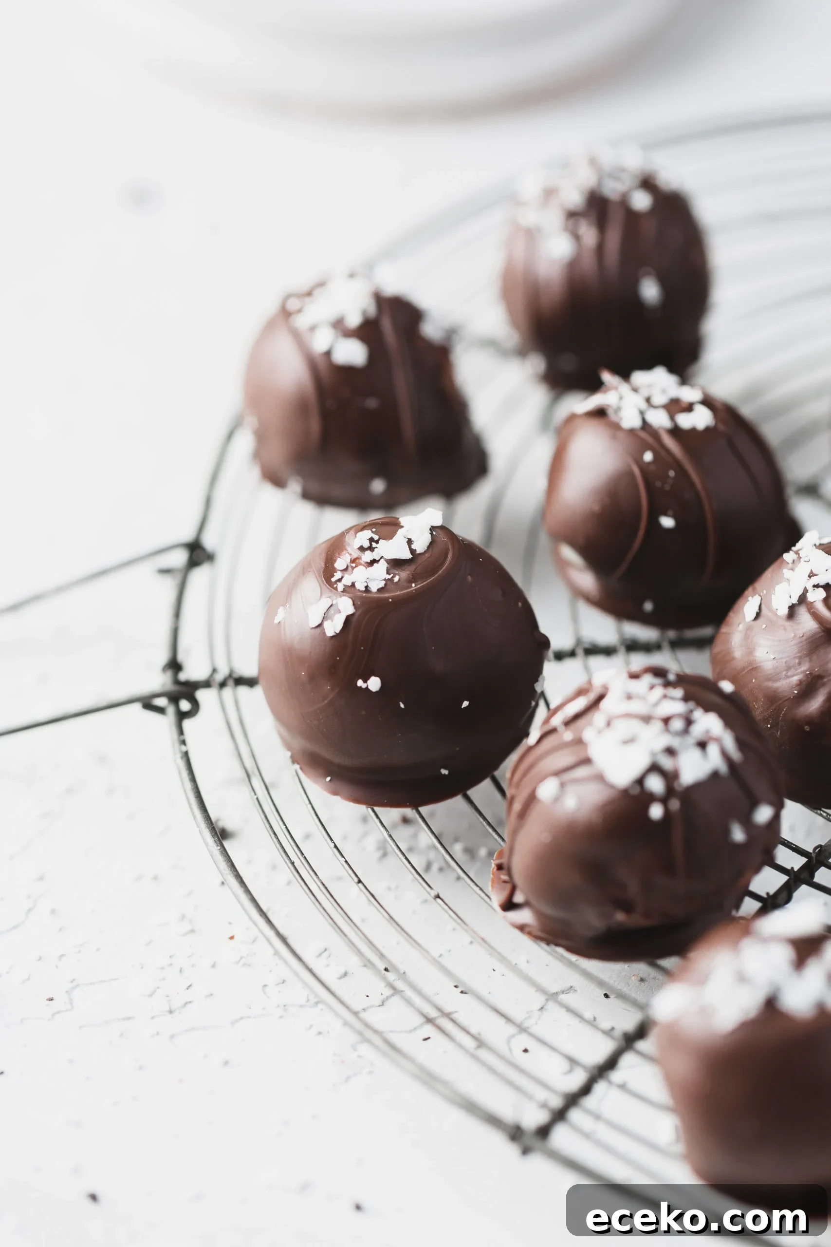 Six chocolate covered coconut balls on a wire rack. The coconut balls have a few coconut flakes sprinkled on top of the chocolate.