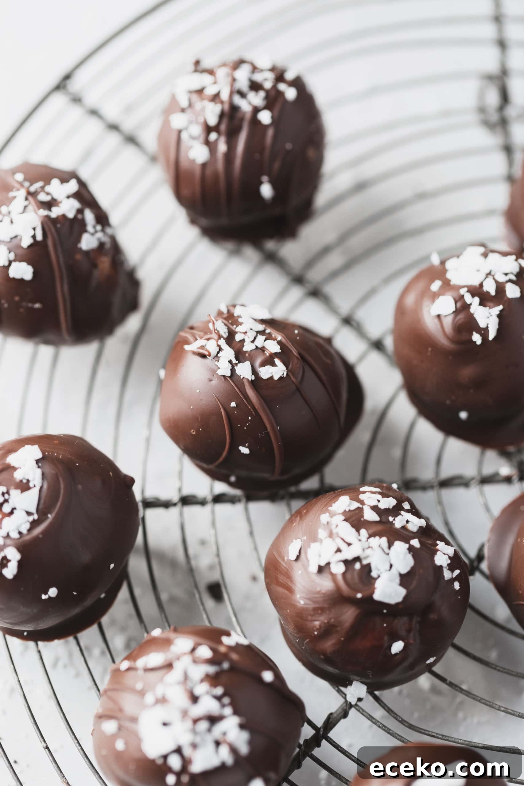 A close up picture of chocolate covered coconut balls. The candy is sprinkled with a few coconut flakes.